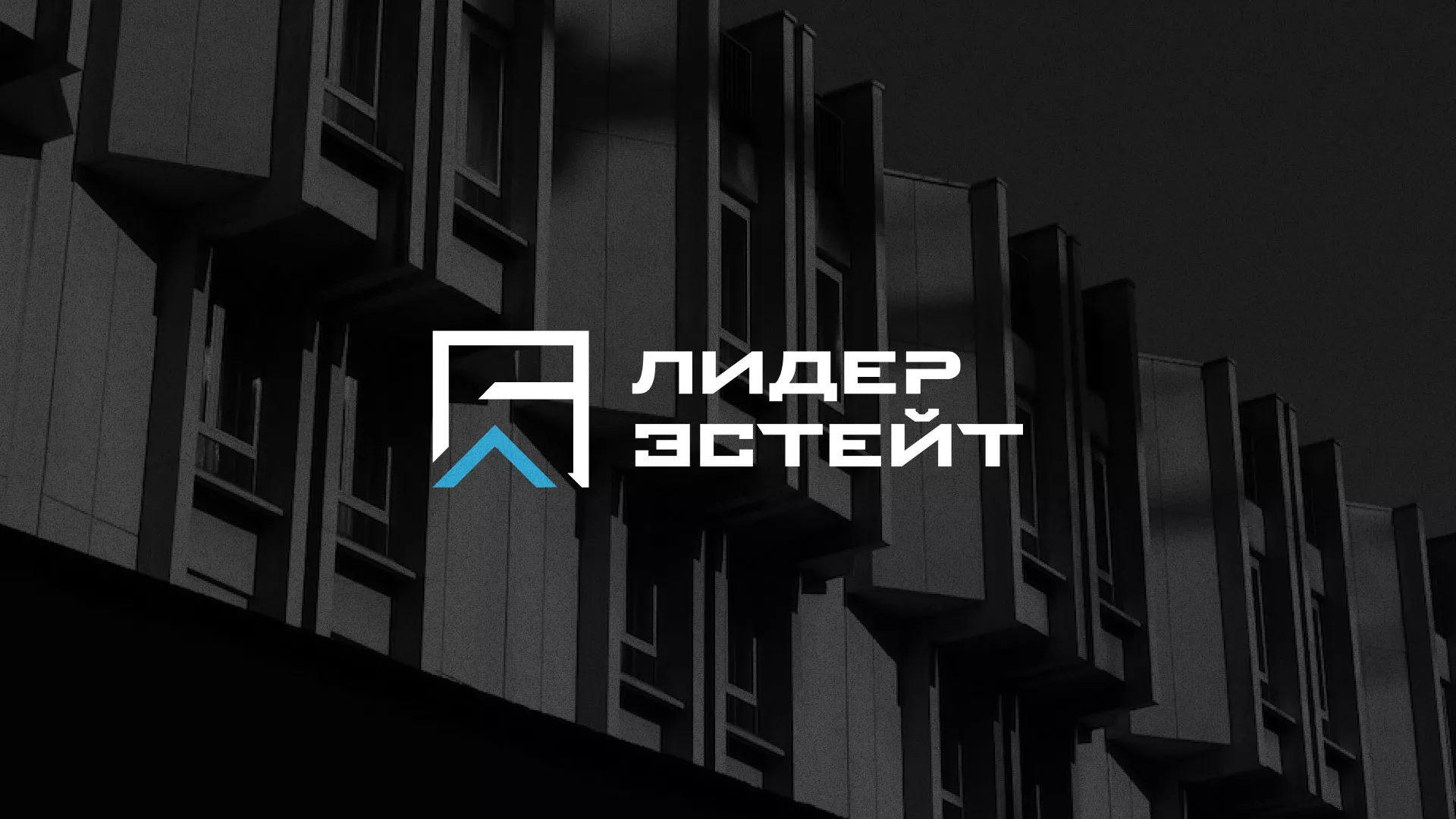 Разработка логотипа агентства недвижимости «Лидер Эстейт» в Устюжне